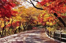 Mt.Seorak & Naksan Temple Day Trip from Seoul