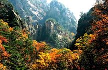 Mt.Seorak & Naksan Temple Day Trip from Seoul