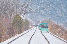 Eobi Valley(Winter), Strawberry, Nami Island & Railbike fr Seoul
