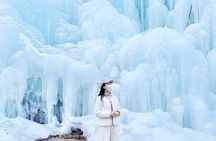 Eobi Valley(Winter), Strawberry, Nami Island & Railbike fr Seoul