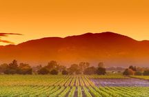The Best Wine Walking Tour in Stellenbosch
