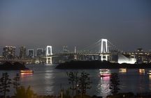 Tokyo Night Highlights Private Tour – Best Night Views by Car