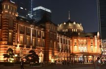 Tokyo Night Highlights Private Tour – Best Night Views by Car
