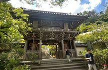 Hiroshima & Miyajima Tour: Peace Park, Dome & Shrine Visit