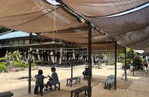 Hiroshima & Miyajima Tour: Peace Park, Dome & Shrine Visit