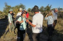 Full Day Hwange National Park Safari from Victoria Falls