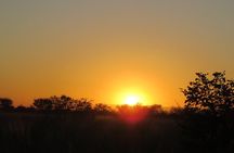 Full Day Hwange National Park Safari from Victoria Falls