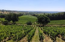 Gaillac Small Group Wine Tour from Toulouse