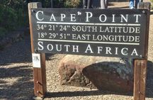 Penguins and Cape of Good Hope Private Tour Entrance fee Included