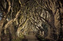 Giant’s Causeway Tour from Belfast with Castles & Dark Hedges