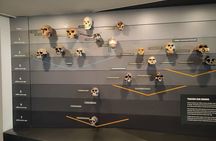 London Natural History Museum Private Walking Tour