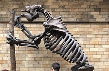 London Natural History Museum Private Walking Tour