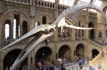 London Natural History Museum Private Walking Tour