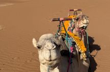 3 Day Marrakech to Merzouga Desert Adventure with Camel Trekking