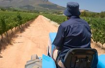 From Cape Town: Stellenbosch Wine Tractor Tour with Vineyard Hops