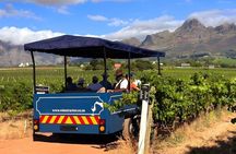 From Cape Town: Stellenbosch Wine Tractor Tour with Vineyard Hops