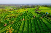 Full-Day Tour to Water Temples and UNESCO Rice Terraces in Bali