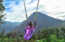 ⁠Ella Swing in Ella