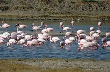 3 day private tour of Rann of Kutch from Ahmedabad