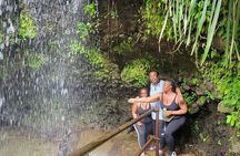 Grenada Highlights Half-Day Rum, Chocolate and Waterfall Tour