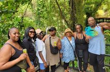 Grenada Highlights Half-Day Rum, Chocolate and Waterfall Tour