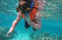 Sea Turtle Snorkeling in Akumal