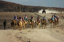  Agafay Desert Quad & Camel Rides with Dinner Show