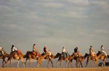 Desert Agafay Trip with Dinner and Quad Bike/ Sunset Camel Ride