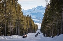 Yellowstone Grand Canyon Full Day Snowmobile Tour