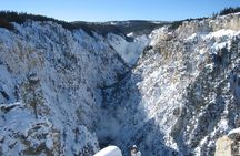 Yellowstone Grand Canyon Full Day Snowmobile Tour