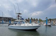 Private Huatulco Whale & Dolphin Adventures