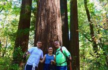 Napa Private Hike and Wine Tour