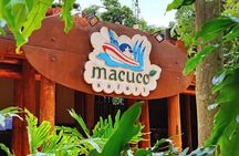 Iguassu Falls : Argentinian Sides in 1 Day Hotel Pickup