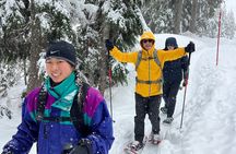 Grouse Mountain Snowshoeing Adventure with Scenic Skyride