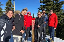 Grouse Mountain Snowshoeing Adventure with Scenic Skyride