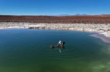 Hidden lagoons of Baltinache