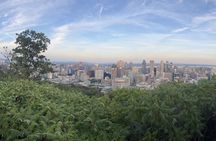 Private Montreal Car Tour with History and Hidden Gems