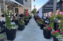 Private Montreal Car Tour with History and Hidden Gems