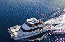 Stevensons Island Outstanding Scenic Cruise