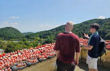Osaka E-bike Adventure: Minoh Falls and Katsuoji Temple