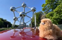 Private Guide Walking Tour in Brussels with 4 Tastings