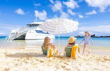 Dolphin & Tangalooma Wrecks Snorkel Cruise & Lunch - Gold Coast 