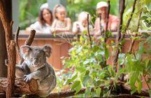 Australia Zoo Private Group Tour from Brisbane