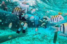 Isla Mujeres and Cancun Snorkeling and Fishing Combo