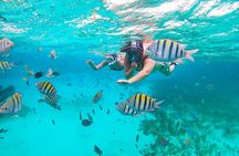 Isla Mujeres and Cancun Snorkeling and Fishing Combo
