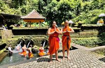 Bali Spiritual: Balinese Healing, Temple & Rice Terrace 