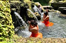 Bali Spiritual: Balinese Healing, Temple & Rice Terrace 