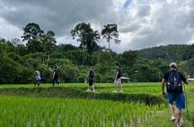 1 Day Trek and Bamboo Rafting Tour in Chiang Mai