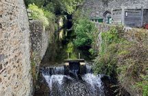 St. Davids City and Coastal Path Tour