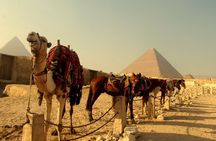 Nile Jewel 5 Star Nile Cruise and the Red Sea